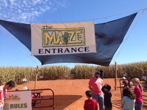 The Maize Maze - don't go if you remember the movie, "Children of the Corn"!