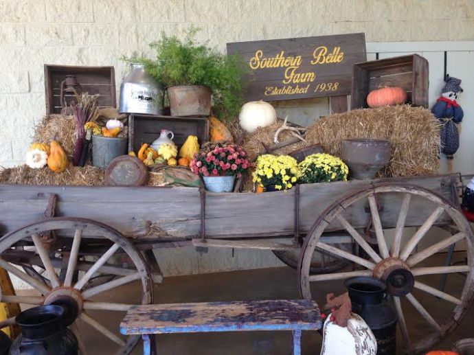 Southern Belle Farm