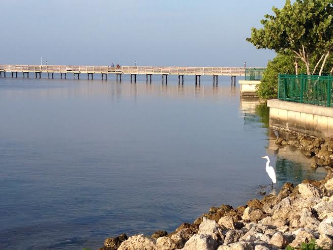 The Peace River, Charlotte Harbor, Florida