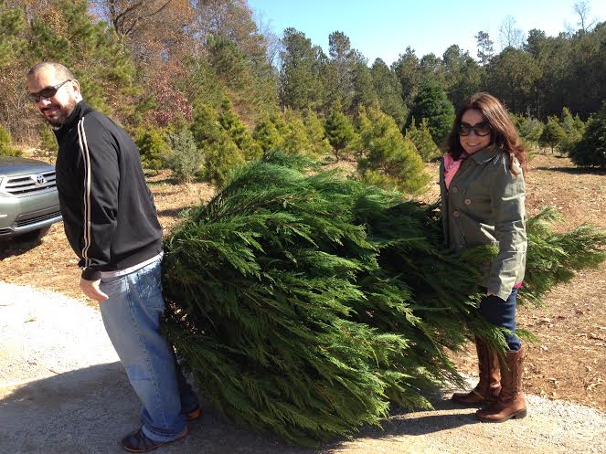 Does it look like a Christmas tree growing out his butt?