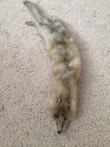 Can you believe women used to wear these as collars?