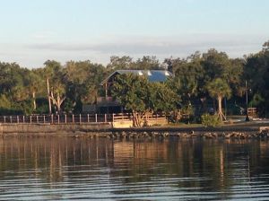 Went for a 2-mile walk along the Peace River