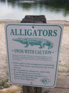 Would you go swimming?