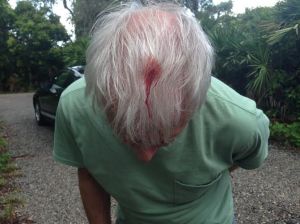 No, I didn't hit him ... clunked himself on the trunk's hood!