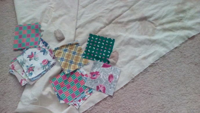 IMG_20160228_1119494_rewind